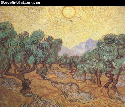 Vincent Van Gogh Olive Trees with Yellow Sky and Sun (nn04)